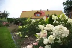 Agroturystyka Pod Jesionem, Владыславово