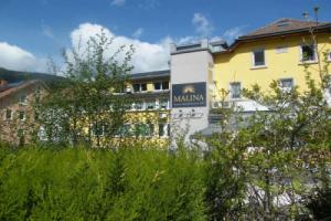 MALINA Luxury Apartments & Spa, Тодтнау