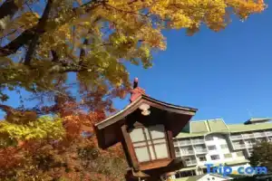 Fuji View Hotel, Фудзикавагутико