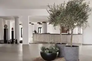 Orama Hotel & Spa, Фира