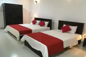 My City Hotel, Канди