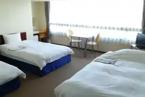 Hotel «Town Center», Коти