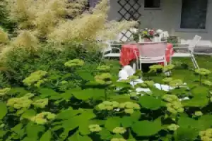Secret garden house in the center of Sigulda, Сигулда