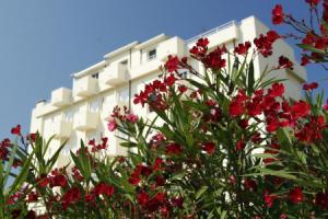 Hotel «Sport & Residenza», Чезенатико