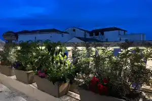 Dante 2 B&B, Тури