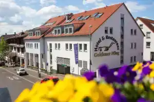 Hotel & Restaurant Goldener Pflug, Людвигсбург