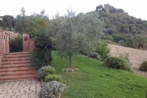 Appartamento con vista panoramica, Монтикьелло