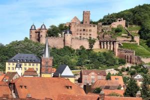 Ela's Appartementhaus, Вертхайм