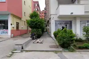 Gun Apart, Трабзон