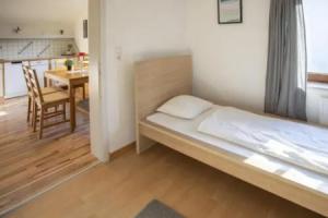 Deluxe City View Mountain Apartment, Халль-ин-Тироль