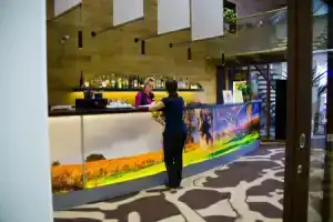 Toila Spa Hotel, Тойла