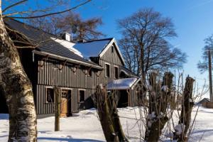 Unique House in the Vogtland Region With Open Architecture and Special Atmosphere, Клингенталь
