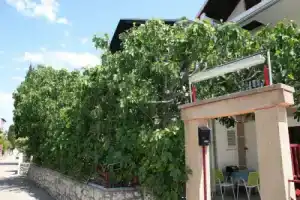 Apartments Villa Tanja, Водице
