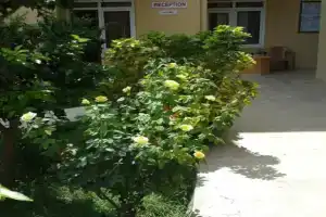 Caner Hotel, Кемер