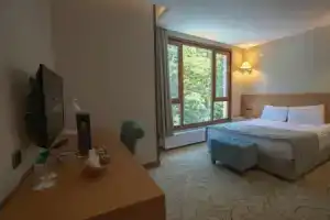 Ayder Hasimoglu Hotel, Айдер