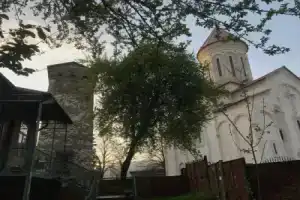 MACHABELl, Амбролаури