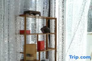 Staying and Forgotten Homestay, Лицзян