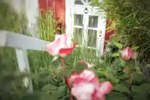 "Gemütlich" 1-Zimmer Apartment nah am Wald, Майнц