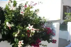 Aparthotel 3 Stars Andros, Андрос
