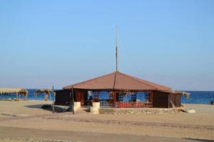 Гостевой дом «Crazy Horse Camp», Нувейба