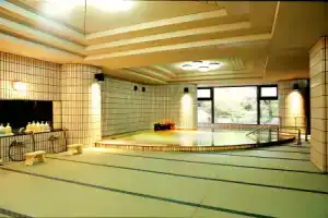 Hotel «Parens Onoya», Фукуока