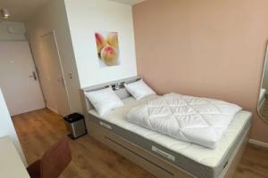 Comfort Studio in a Premium Residence- Sport/cinema, Вайль-на-Рейне