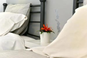 Guesthouse Corali, Идра