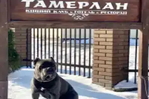 Отель «Тамерлан», Хмельницкий