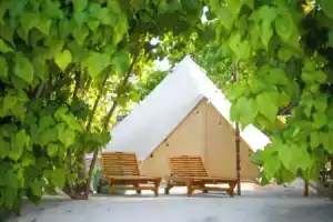 The Maverick Surf and Dive Boutique Hotel, Кадду