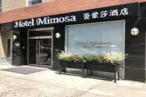 Hotel «Mimosa», Нью-Йорк