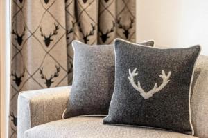 Unique Alpic style apartment in the heart of Davos, Давос