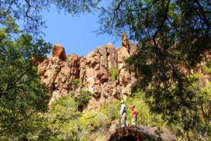 Waterberg Wilderness - ONE Namibia, Очиваронго