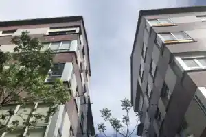 Oh La Life! Camino Frances, Сантьяго-де-Компостела