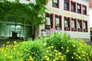 Hotel «-Restaurant Pfälzer Hof», Эденкобен