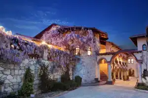 Vinifera Vineyards Hotel, Сельчук