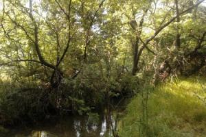 Wood Cabin by the River - for Nature Lovers, Витина