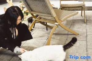 Yunbo Light Luxury Homestay (Dali Ancient City South Gate Branch), Дали