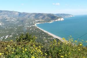 Orchidea Mattinata parco del Gargano, Маттината