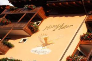 Adler Hotel Wellness & Spa - Andalo, Андало