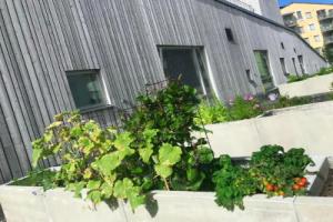 The Harbor Stop, your cozy 1-bedroom stay in Turku, Турку