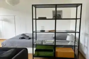 Luxury Apartment in Central Geneva, Женева