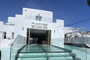 Dionysos Luxury Hotel Mykonos, Орнос