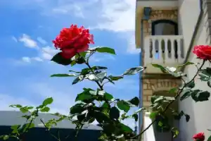 Apartment With 2 Bedrooms in Tivat, With Wonderful Mountain View, Furn, Радовичи