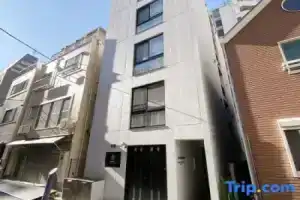 Nestay apartment Tokyo Ginza, Токио