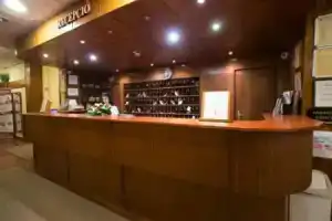 Mátyás Király Gyógy- és Wellness Hotel, Хайдусобосло