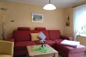 FeWo Sonnenblume, Даун