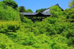 Machiya Kushige, Киото