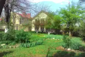 Хостел «Атлетика», Севастополь