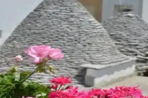 Trulli Madia Luxury Location, Альберобелло