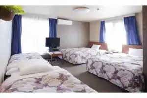 Tokyo Ueno New Izu Hotel, Токио
